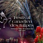 images_tulipes2015