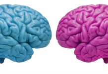 ¿Puedes caminar y mascar chicle a la vez?