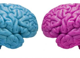 ¿Puedes caminar y mascar chicle a la vez?