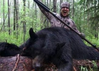 Video: Canadá se enciende con el vídeo de un cazador que mata a un oso con una lanza