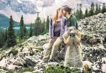 Canadá: Ardilla posa para foto de novios
