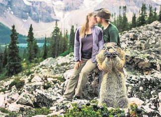 Canadá: Ardilla posa para foto de novios