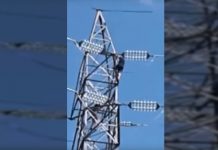 Video: Adolescentes trepan torre de energía de Hydro-Quebec