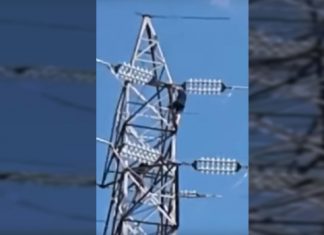 Video: Adolescentes trepan torre de energía de Hydro-Quebec