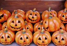 Después de Halloween… ¡a comer calabazas!