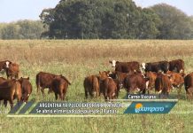 Argentina volvió a exportar carne a Canadá, después de 15 años