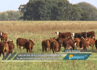 Argentina volvió a exportar carne a Canadá, después de 15 años