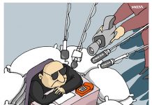 Burocracia atrincherada