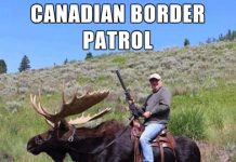 Elecciones en EE.UU.: la victoria de Donald Trump, en memes canadienses