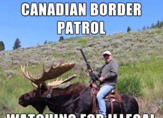 Elecciones en EE.UU.: la victoria de Donald Trump, en memes canadienses