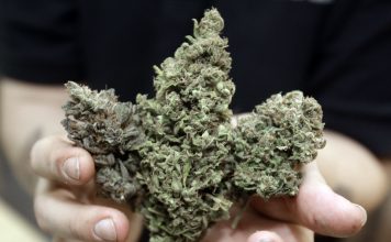Canadá: Marihuana atrae millones que se podrían hacer humo