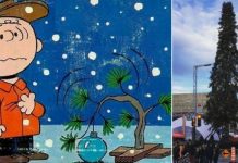 Fotos: El árbol navideño de Montreal es ridiculizado en las redes sociales