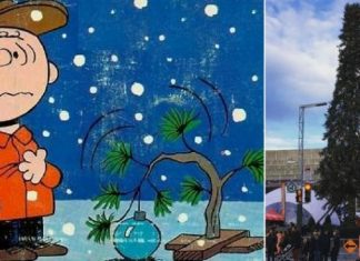 Fotos: El árbol navideño de Montreal es ridiculizado en las redes sociales