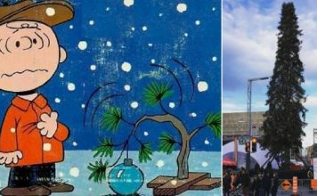 Fotos: El árbol navideño de Montreal es ridiculizado en las redes sociales