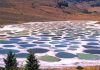 Spotted Lake, el espectacular lago multicolor de Canadá