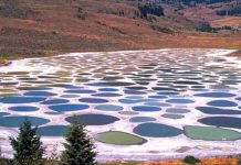 Spotted Lake, el espectacular lago multicolor de Canadá