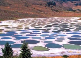 Spotted Lake, el espectacular lago multicolor de Canadá