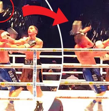 Montreal: Boxeador ganó a su rival pero cuando celebraba fue noqueado con una cubeta de hielo