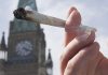 Canadá legalizará la marihuana en julio 2018