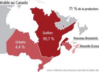 Jarabe de arce: el oro líquido de Quebec