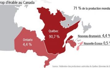 Jarabe de arce: el oro líquido de Quebec