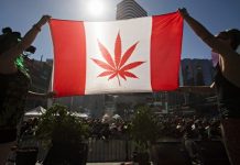 Canadá prevé reducir límite de edad para marihuana