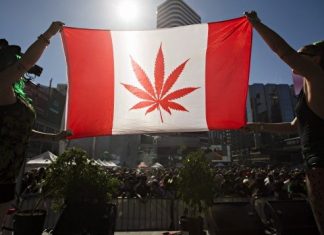 Canadá prevé reducir límite de edad para marihuana
