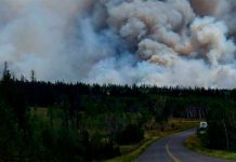 Video: Por poco quedan atrapados en un incendio forestal de Canadá