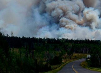 Video: Por poco quedan atrapados en un incendio forestal de Canadá