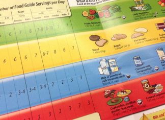 Canadá: Guía alimentaria prioriza los alimentos y proteínas vegetales