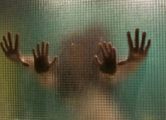 Estudio de Universidad de Montreal indica las calorías que quemas según el sexo que practicas