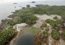 Encuentran restos de una antigua aldea en Canadá 10 mil años más antigua que las pirámides egipcias