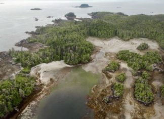Encuentran restos de una antigua aldea en Canadá 10 mil años más antigua que las pirámides egipcias