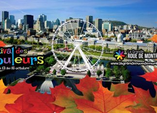 Celebremos el Otoño con el Festival de Colores de Montreal