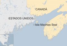 Por qué Canadá y Estados Unidos se disputan la pequeña e inhabitada isla Machias Seal