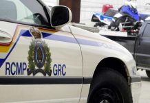 Canadá: El extraño caso de un choque en el que los pasajeros estaban desnudos