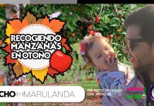Recogiendo manzanas en Otoño en Canadá | Pacho Marulanda