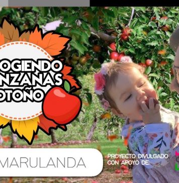 Recogiendo manzanas en Otoño en Canadá | Pacho Marulanda