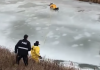 VIDEO: Conmovedor rescate de un perro que quedó atrapado en el hielo en Canadá