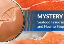 Alarmante caso de fraude con el pescado en Canadá