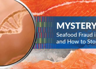 Alarmante caso de fraude con el pescado en Canadá