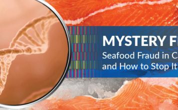 Alarmante caso de fraude con el pescado en Canadá