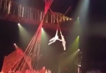 Acróbata del Cirque du Soleil muere en una caída durante actuación