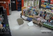 Video Viral: El atraco más disparatado de Canadá