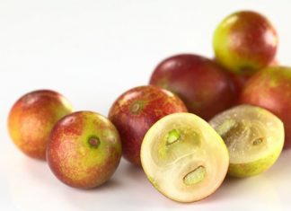 El camu-camu podría convertirse en una efectiva arma contra la obesidad