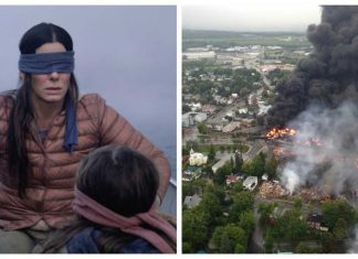 Quebec pide a Netflix retirar imágenes de un accidente real de película Bird Box