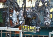 Relatos de una desconocida