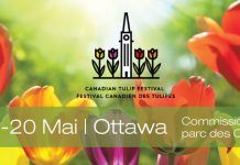 Mayo: Mes del festival de Tulipanes en Ottawa