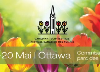 Mayo: Mes del festival de Tulipanes en Ottawa