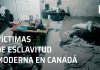 Video: Migrantes mexicanos explotados en Canadá, víctimas de esclavitud